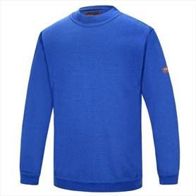 Phoenix-FR SWEATSHIRT ANTI-STATIC