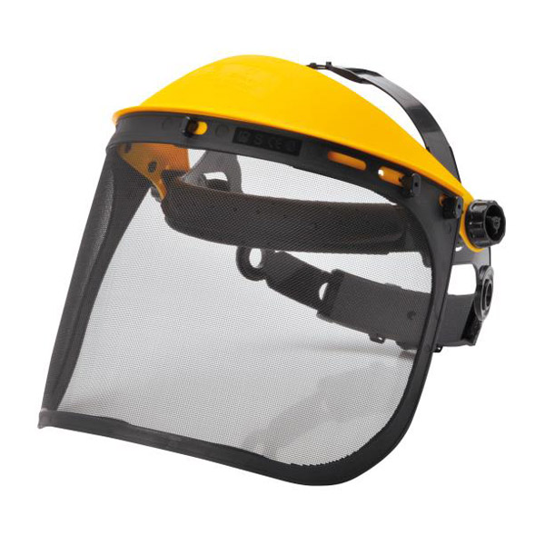 Browguard with Mesh Visor