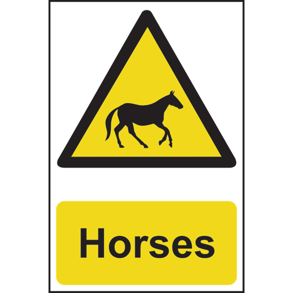 Horses - CRX (200 x 300mm)