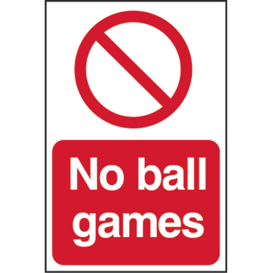 No Ball Games - PYC (200 x 300mm)
