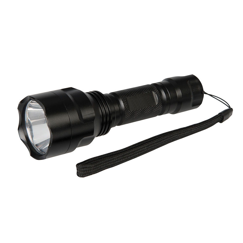 Cree LED Torch