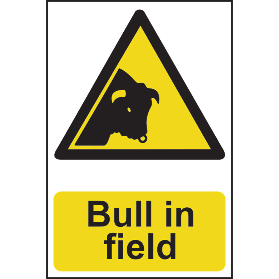Bull in field - PVC (200 x 300mm)