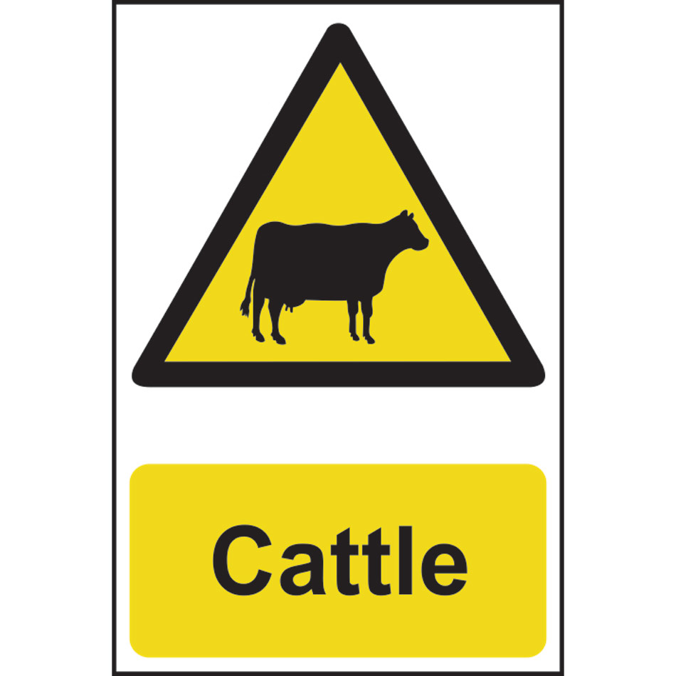 Cattle - PVC (200 x 300mm)