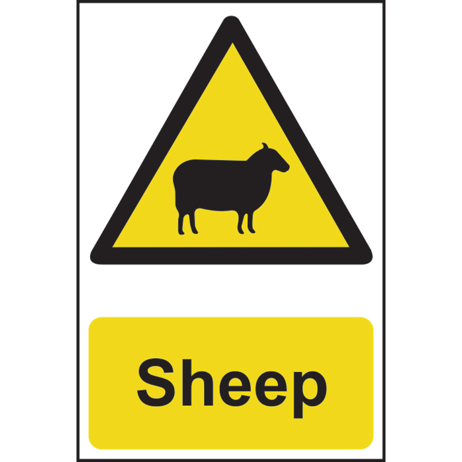 Sheep - PVC (200 x 300mm)